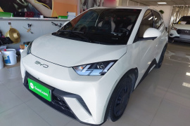 比亚迪 海鸥 2023款 活力版