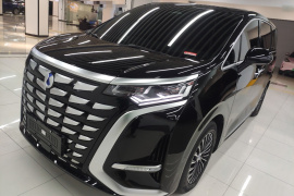 腾势D9 2024款 DM-i 980 四驱尊贵型