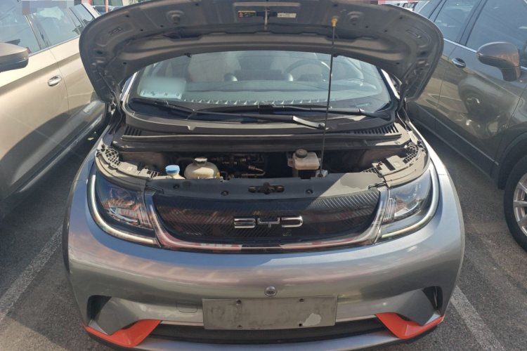 比亚迪 海豚 2021款 405km 时尚版局部细节24