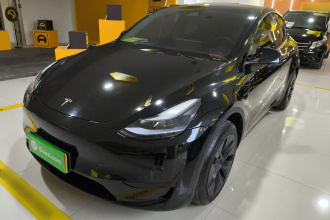 特斯拉 Model Y 2024款 后轮驱动版
