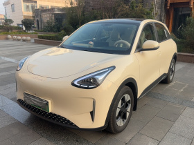 吉利银河 星愿 2025款 310km 梦想版