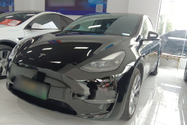 特斯拉 Model Y 2021款 长续航全轮驱动版