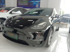 特斯拉 Model Y 2021款 长续航全轮驱动版