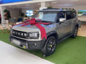 捷途山海 捷途旅行者C-DM 2024款 C-DM 208KM 山野版