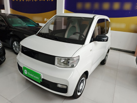 五菱汽车 宏光MINIEV 2022款 自在款 磷酸铁锂