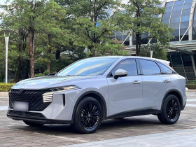 启辰大V 2021款 260T 爱豆版