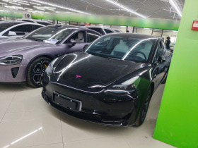 特斯拉 Model 3 2022款 后轮驱动版