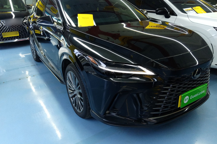 雷克萨斯RX 2023款 350h 四驱醇享版车身外观6002