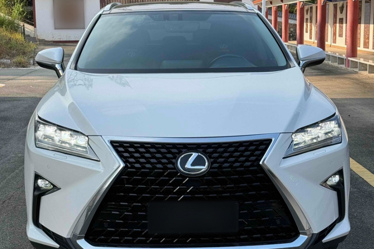 雷克萨斯RX 2016款 300 四驱典雅版 国V车身外观6010