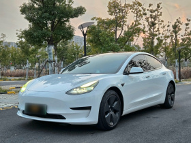 特斯拉 Model 3 2021款 改款 标准续航后驱升级版 3D1