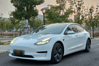 特斯拉 Model 3 2021款 改款 标准续航后驱升级版 3D1
