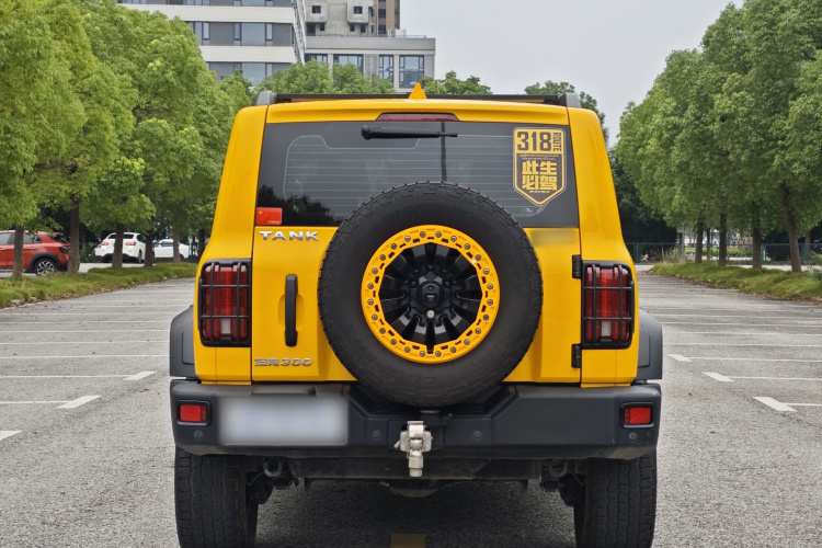 坦克300 2022款 2.0T 边境限定版车身外观6004