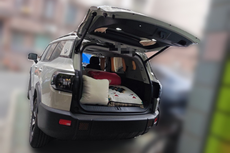 捷途山海T1 2024款 150km 向海中控内饰23