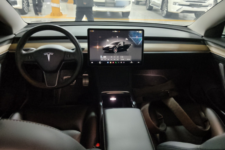 特斯拉 Model 3 2022款 Performance高性能全轮驱动版中控内饰7002