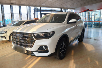 哈弗H6 2021款 国潮版 1.5T 自动都市版