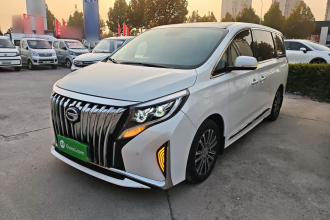 广汽传祺 传祺M8 2021款 领秀系列 390T 尊贵版