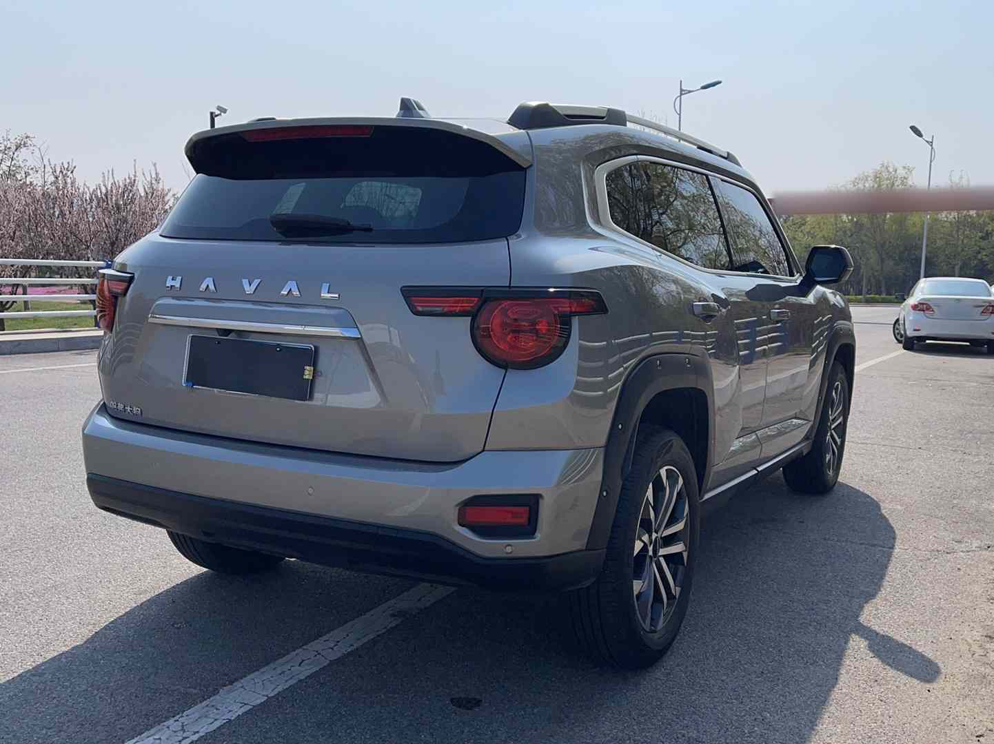 哈弗大狗 PLUS 2023款 1.5T 两驱潮野版Plus(4)