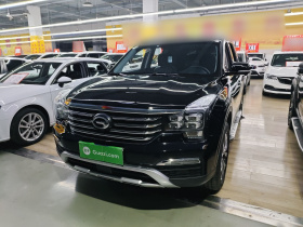 广汽传祺 传祺GS8 2017款 320T 两驱豪华智联版（七座）