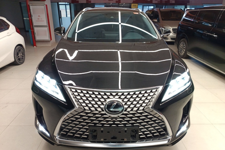 雷克萨斯RX 2021款 300 四驱特别版车身外观2