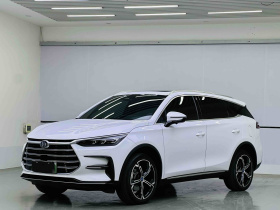 比亚迪 唐新能源 2021款 DM-i 112KM 尊荣型