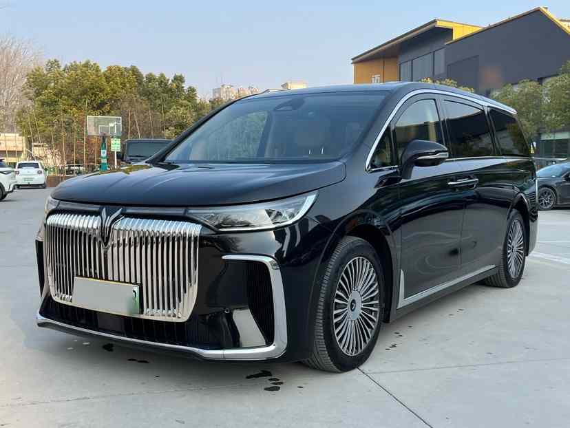 岚图汽车 岚图梦想家 2024款 PHEV 超长续航旗舰版(1)