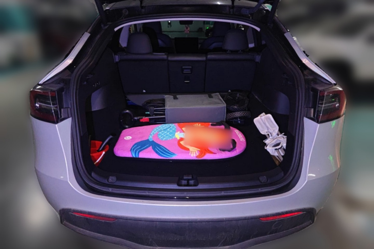 特斯拉 Model Y 2022款 Performance高性能全轮驱动版中控内饰23