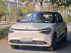 东风纳米 纳米01 2026款 初心款 330Air