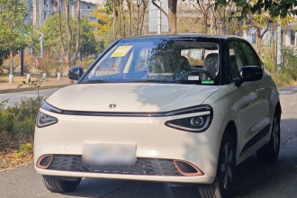 东风纳米 纳米01 2026款 初心款 330Air