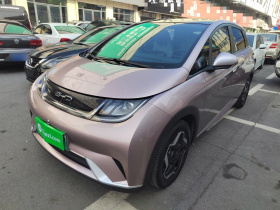 比亚迪 海豚 2021款 405km 自由版