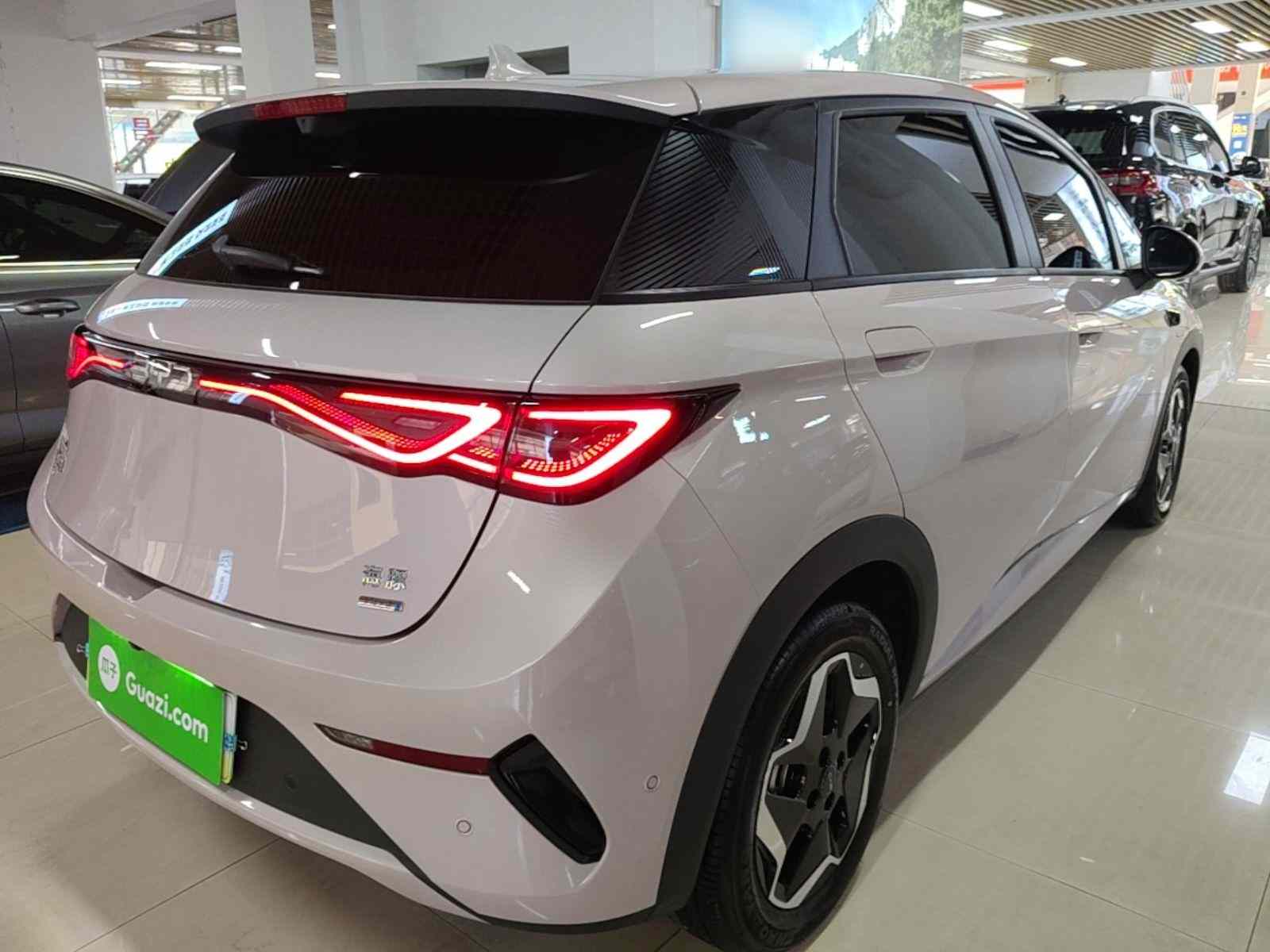 比亚迪 海豚 2025款 智驾版 420km 自由版(5)