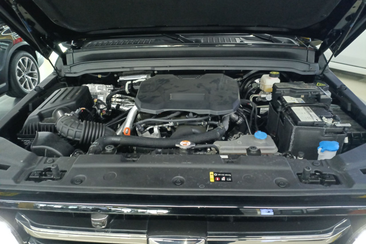 坦克300 2024款 2.0T 穿越者机舱底盘24