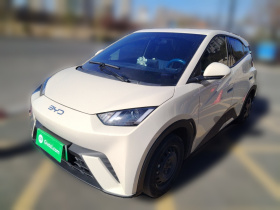 比亚迪 海鸥 2024款 荣耀版 305km 活力版