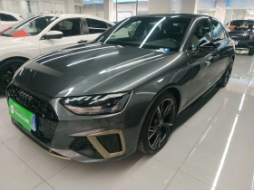 奥迪A4L 2024款 40 TFSI quattro RS套件燃速型