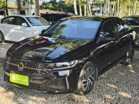 大众 朗逸 2024款 300TSI DSG星空领先版