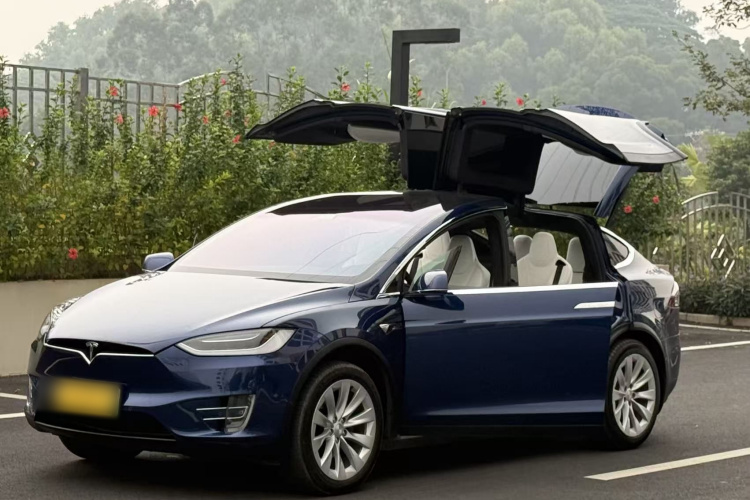 特斯拉 Model X 2019款 长续航版车身外观6002