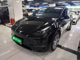 特斯拉 Model Y 2021款 标准续航后驱版