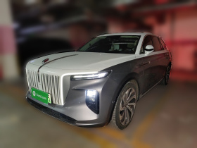 红旗E-HS9 2021款 510km 旗领版 四座