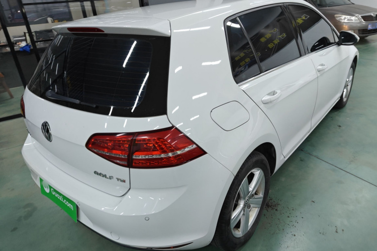 大众 高尔夫 2015款 1.4TSI 自动舒适型车身外观7