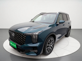 广汽传祺 传祺GS8 2022款 领航系列 2.0TGDI 两驱尊贵版（六座）