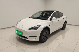 特斯拉 Model Y 2024款 后轮驱动版