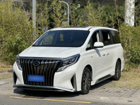 广汽传祺 传祺M8 2021款 大师系列 390T 尊贵版