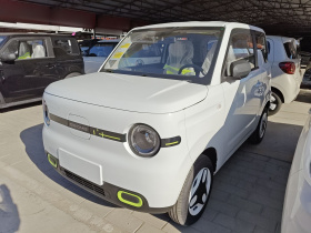 吉利银河 熊猫 2025款 210km 元气熊