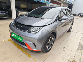 比亚迪 海豚 2021款 405km 自由版