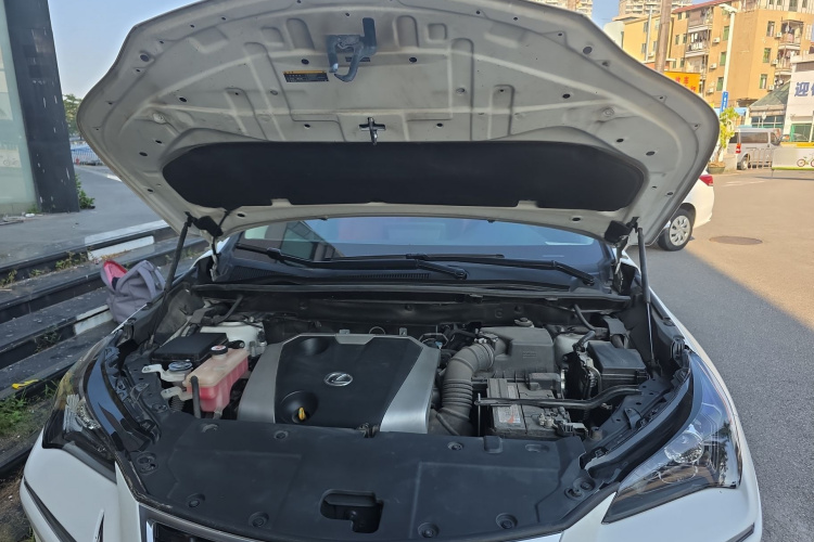 雷克萨斯NX 2020款 200 前驱 锋行版 国VI局部细节24