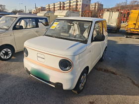 吉利银河 2024款 熊猫mini 200km 耐力熊