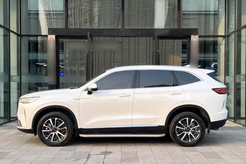 哈弗H6 2022款 第三代 1.5T 自动两驱Max(4)