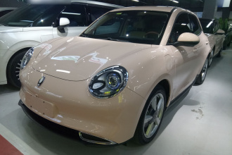 欧拉好猫 2023款 401km标准续航 尊贵型 磷酸铁锂