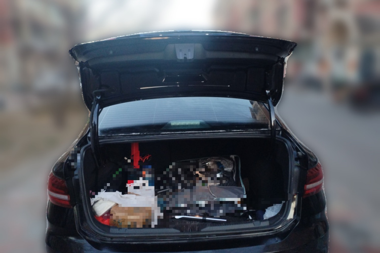 大众 朗逸 2024款 1.5L 自动星空五百万版中控内饰23