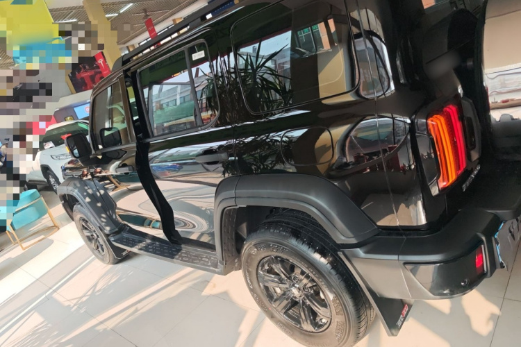 坦克300 2024款 2.0T 挑战者车身外观4