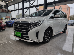 广汽传祺 传祺M8 2023款 领秀系列 390T 尊享版